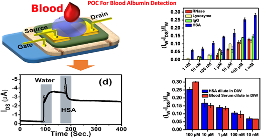 Publication image: Mandal, A.; Mandal, S.; Mallik, S.; Mondal, S.; Bag*, S. S.; Goswami, D. K.. Precise and rapid point-of-care quantification of albumin levels in unspiked blood using organic field-effect transistors. Nanoscale Adv. 2024, 6(2), 630-637